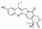 乳腺癌突破性疗法数据喜人，有望获加速批准上市