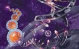 Nat Commun：科学家首次在盒子里完成基因疗法，解决了钱的问题