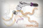 Nature：那些可能超越CRISPR的基因组编辑新技术