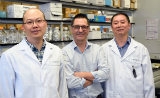 Nature揭秘：想要免疫疗法有效？这是有条件的！