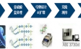 BSP甲基化检测