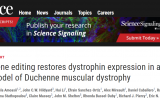 Science重磅！ CRISPR治疗大型哺乳动物肌萎缩，首次取得突破进展