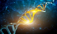 Science：控制全身再生过程的“基因开关”，你想打开吗？