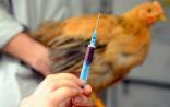 深圳首例H5N6流感病例病毒基因确定