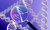 NEJM：科学家找到6个与妊娠早产相关的基因，它们是……