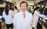 PNAS：癌细胞如何“逃避”免疫系统？