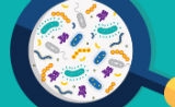 顶级期刊发文，香港中文大学科学家发现肠道微生物导致结直肠癌的直接证据！