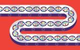 DNA 制造已经进入工业化大生产时代？