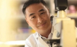 连发两篇Neuron！大脑免疫细胞，治疗痴呆的关键？