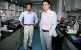 一篇Science一篇Cell，华人学者今日再创佳绩