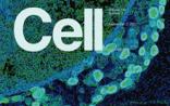 Cell杂志最受关注十篇文章（12月）