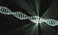 复旦大学王磊/桑庆团队发现人类卵子成熟障碍新致病基因并探索了干预策略