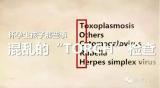 怀孕生孩子那些事  之  混乱的“TORCH”检查