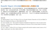 百奥赛图EGE®基因编辑平台