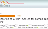 张峰团队这次慢了一步丨第三种可以编辑人类细胞基因组的CRISPR-Cas系统