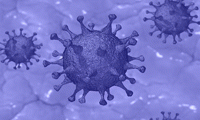 Cell：科学家发现一种可有效阻断SARS-CoV-2感染宿主细胞的试验药物！