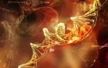 Science发表重大技术突破：DNA折纸技术的“新变种”
