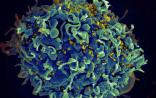 Nature重大发现：HIV的免疫逃逸武器