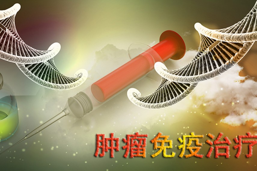 免疫治疗热点齐聚，事情搞起来~