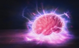 Science：清除累积的蛋白质，让衰老细胞“年轻化”