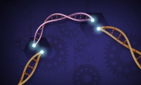 Nature子刊：CRISPR联手病毒基因！开启全新免疫基因疗法捕获 “逃逸”癌细胞