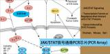 JAK STAT信号通路PCR芯片（促）