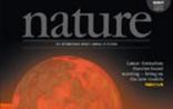 2013年12月05日Nature杂志精选
