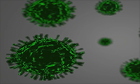 PNAS：比较基因组分析显示，多种动物可能易受SARS-CoV-2感染！