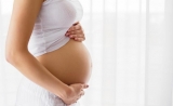 Science子刊封面：怀孕期间，准妈妈的免疫系统发生了哪些变化？