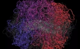 动则2米长的DNA，为什么不像耳机线那样容易打结？