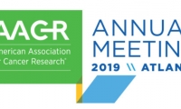 AACR | 盘点免疫组合疗法最新进展：除了“去掉刹车”，还要“踩下油门”