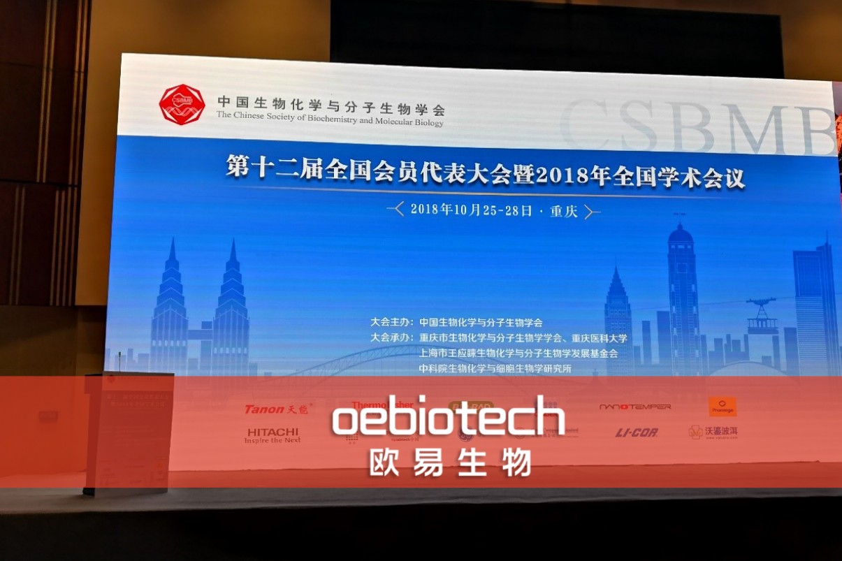 参会时讯 | 欧易生物携手BSA联盟共同参展第十二届生物化学与分子生物学大会