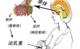 薛之谦前妻被爆患垂体瘤，治疗要1000万？