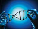 Nature：合成生物学，细胞内的精准时钟