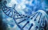 科学家用电脑仿真创造自我组织系统 或助人造生命