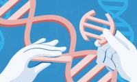 我国科研人员发布新型基因编辑技术：编辑效率最高可达80%