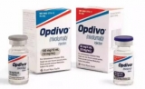 首个国内申报上市PD-1药物Opdivo，能治疗哪些癌症？