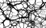 阑尾隐藏帕金森病种子？切除它能起预防作用吗？|Science子刊