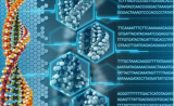 有了 DNA 存储技术，我们人体就是“云硬盘”