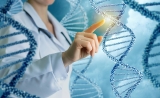 科学家发现与“渐冻症”相关分子机制