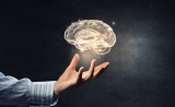 Brain：给大脑特定区域“挠痒”，可以提高短期记忆