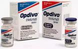 突破药物+优先审评：Opdivo将成首个治疗血液肿瘤的PD-1单抗？