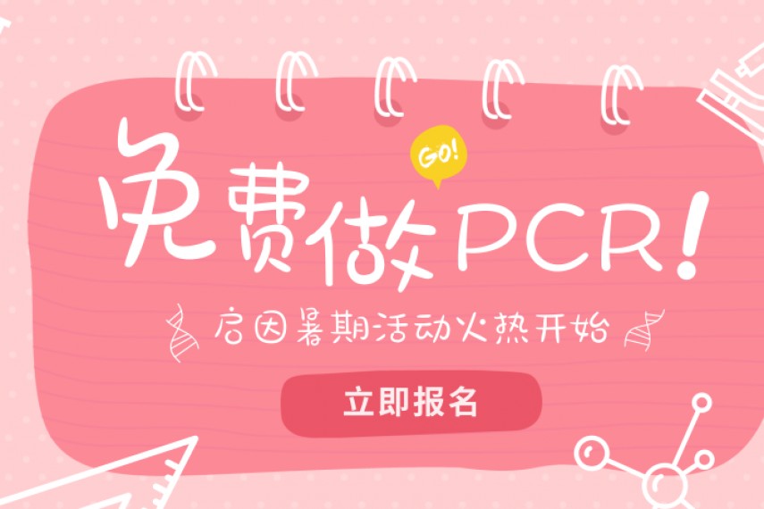 暑期活动：启因生物免费帮您做qPCR啦！