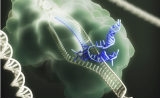 《自然-生物技术》报道CRISPR专利之争的新八卦