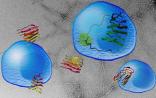 Science之脑洞大开：模拟老年痴呆的分子机制居然能治癌