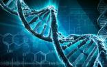 DNA研究向3D时代迈进！
