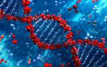 中科院蔡时青研究组：Cell子刊解析钾离子通道功能调控