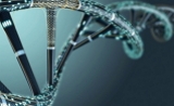 合成生物就像搭“乐高”积木，这3大“法宝”不会就完了！