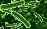 美国国家微生物组计划启动：真正的新技术在哪里？