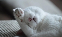 权威睡眠期刊：生完孩子，父母的睡眠中断长达6年！